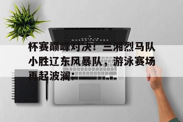 开云体育入口-杯赛巅峰对决！三湘烈马队小胜辽东风暴队，游泳赛场再起波澜；的简单介绍